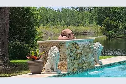 5757 Sweet Cherry Lane, Land O Lakes, FL 34639 - Photo 33