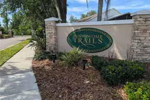 1415 Saddle Gold Ct, Brandon, FL 33511 - Photo 27
