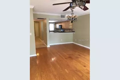 2523 Crowder Lane, Tampa, FL 33629 - Photo 3