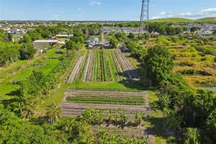 11101 Sumner Rd, Wimauma, FL 33598 - Photo 25