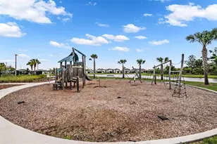 11817 Moonsail Dr, Palmetto, FL 34221 - Photo 49