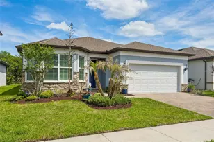 6382 Bradford Woods Dr, Zephyrhills, FL 33542 - Photo 1