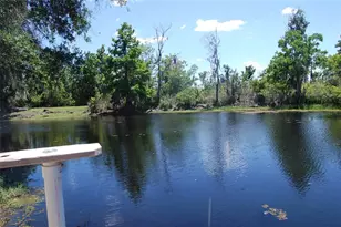 30230 Palm Ln, Wesley Chapel, FL 33545 - Photo 5