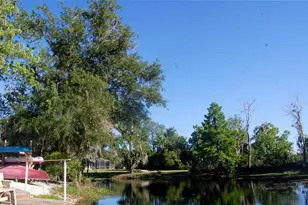 30230 Palm Ln, Wesley Chapel, FL 33545 - Photo 45