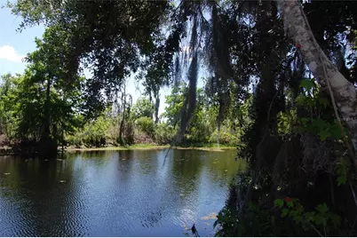 30230 Palm Lane, Wesley Chapel, FL 33545 - Photo 53