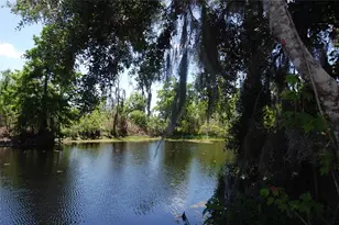 30230 Palm Ln, Wesley Chapel, FL 33545 - Photo 53
