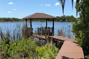 21430 Draycott Way, Land O Lakes, FL 34637 - Photo 5
