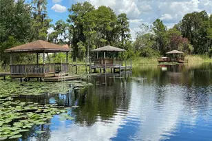 21430 Draycott Way, Land O Lakes, FL 34637 - Photo 11