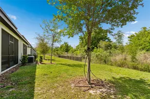 3633 Bellmeade Ct, Wesley Chapel, FL 33543 - Photo 39