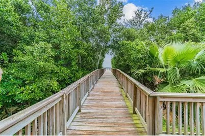 3019 Bayshore Pointe Drive, Tampa, FL 33611 - Photo 43