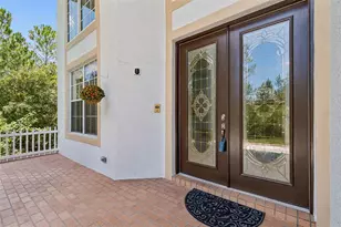 10102 Deercliff Dr, Tampa, FL 33647 - Photo 5