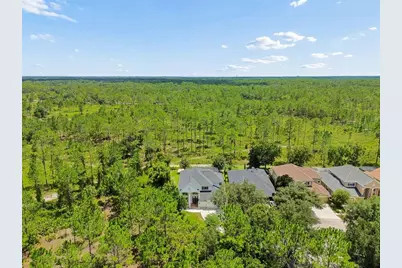 10102 Deercliff Drive, Tampa, FL 33647 - Photo 81