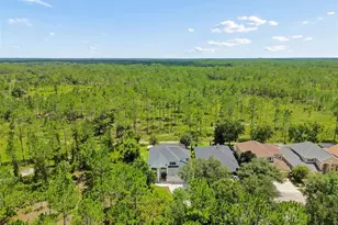 10102 Deercliff Dr, Tampa, FL 33647 - Photo 81