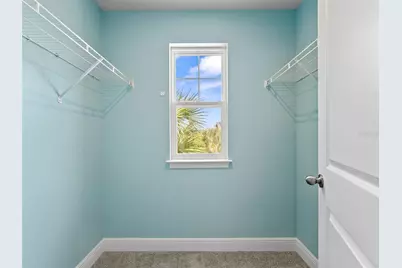 5974 Grand Sonata Avenue, Lutz, FL 33558 - Photo 29