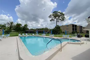 1370 Heather Ridge Blvd, Dunedin, FL 34698 - Photo 31