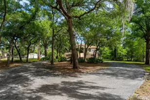 8214 Revels Rd, Riverview, FL 33569 - Photo 55