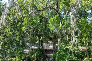 8214 Revels Rd, Riverview, FL 33569 - Photo 65