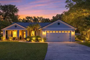 5801 Black Walnut Ct, Tampa, FL 33625 - Photo 3