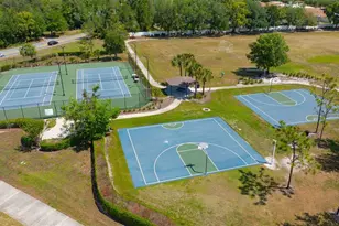 5420 Angelonia Terrace, Land O Lakes, FL 34639 - Photo 47