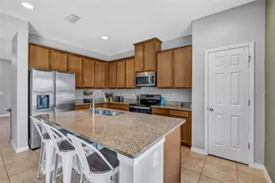 5420 Angelonia Terrace, Land O Lakes, FL 34639 - Photo 9