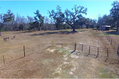 37214 Hester Road, Dade City, FL 33525 - Photo 9
