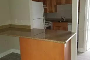 3914 W Neptune St, Tampa, FL 33629 - Photo 3