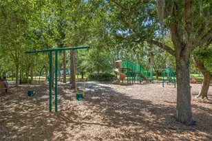 5201 Sparrowglen Pl, Lithia, FL 33547 - Photo 51