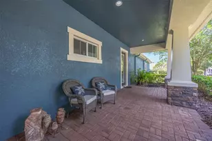 5201 Sparrowglen Pl, Lithia, FL 33547 - Photo 43