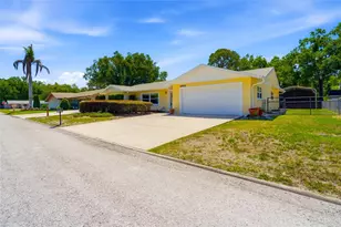 26916 Magnolia Blvd, Lutz, FL 33559 - Photo 3