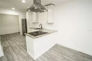 1007 E 32nd Ave, Tampa, FL 33603 - Photo 3