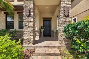 28622 Tranquil Lake Cir, Wesley Chapel, FL 33543 - Photo 7
