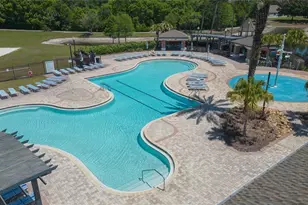 5397 Angelonia Terrace, Land O Lakes, FL 34639 - Photo 51