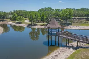 5397 Angelonia Terrace, Land O Lakes, FL 34639 - Photo 53