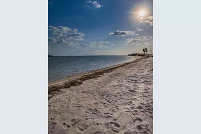 2530 Gary Circle #802, Dunedin, FL 34698 - Photo 49