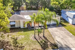 4320 Newbury Dr, New Port Richey, FL 34652 - Photo 61