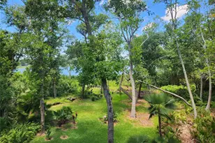 3609 Country Pointe Pl, Palm Harbor, FL 34684 - Photo 17