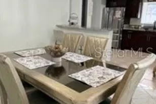 15126 Nighthawk Dr, Tampa, FL 33625 - Photo 19