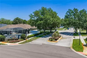1603 Grand Heritage Blvd, Valrico, FL 33594 - Photo 49