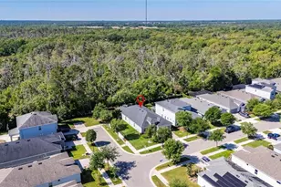 14121 Carissa Meadows Ct, Riverview, FL 33569 - Photo 43