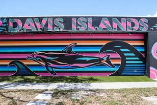 91 Davis Blvd, Tampa, FL 33606 - Photo 81