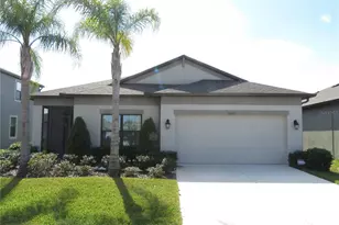 11437 Amapola Bloom Ct, Riverview, FL 33579 - Photo 1