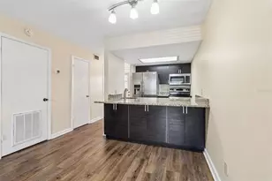 4839 McElroy, Tampa, FL 33611 - Photo 7
