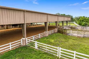 11410 Trotting Down Dr, Odessa, FL 33556 - Photo 77