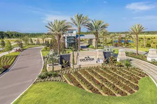 3896 Immacolata Wy, Wesley Chapel, FL 33543 - Photo 43