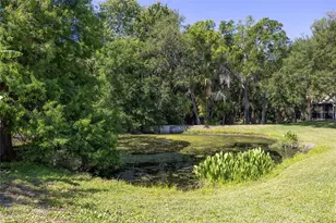 219 Bay Arbor Blvd, Oldsmar, FL 34677 - Photo 33