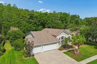 19004 St Laurent Dr, Lutz, FL 33558 - Photo 7