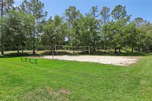 5833 War Admiral Dr, Wesley Chapel, FL 33544 - Photo 57
