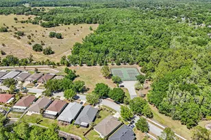 5833 War Admiral Dr, Wesley Chapel, FL 33544 - Photo 45