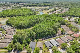 5833 War Admiral Dr, Wesley Chapel, FL 33544 - Photo 39