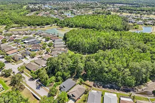 5833 War Admiral Dr, Wesley Chapel, FL 33544 - Photo 41